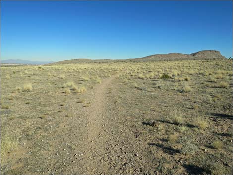 Campground Flats Loop Trail