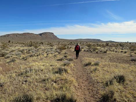 Gun Range Ridge Loop