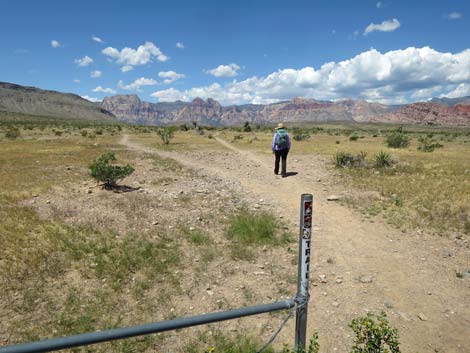 Campground Wash Trail