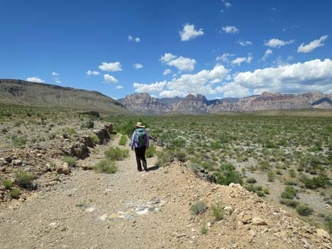 Campground Wash Trail