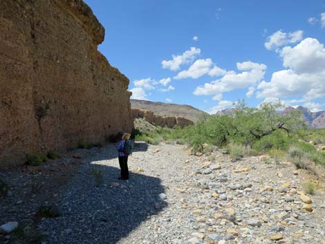 Campground Wash Trail