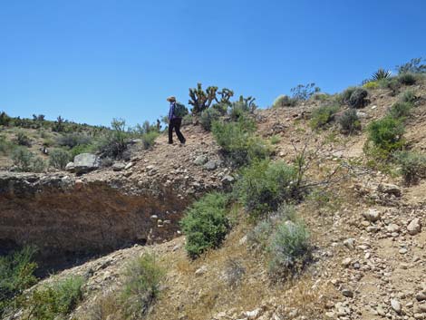 Campground Wash Trail