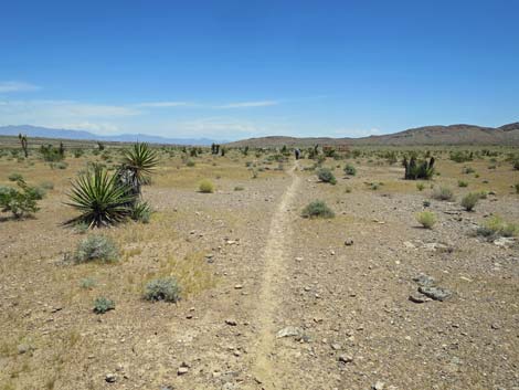 Campground Wash Trail