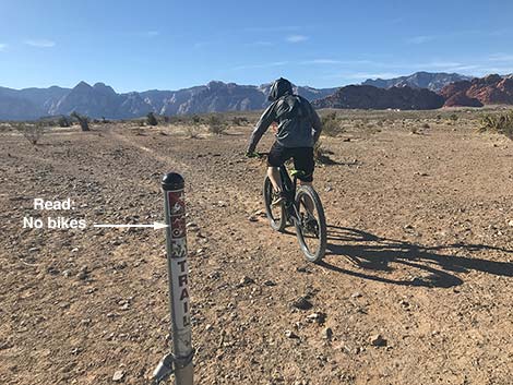 Campground Wash Trail