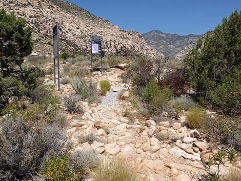 Dales Trail