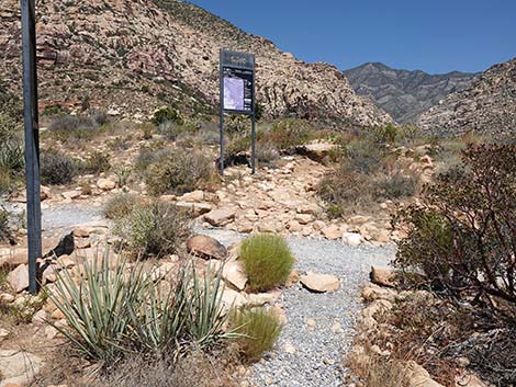 Dales Trail