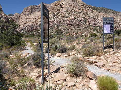 Dales Trail