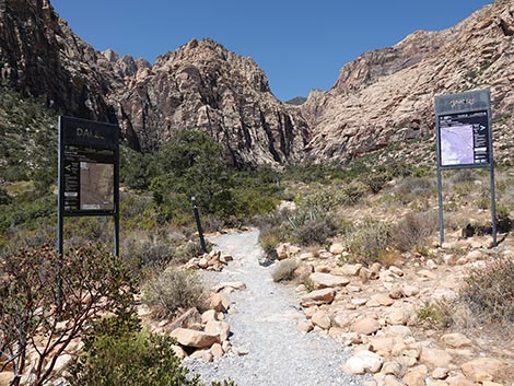 Dales Trail