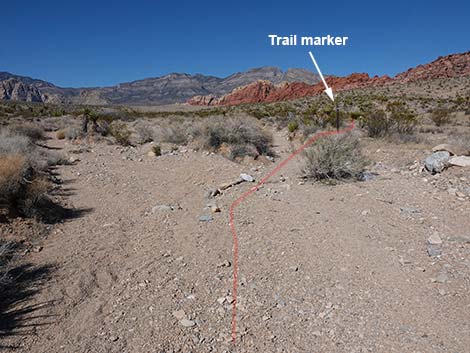 Entrance Station to Calico Basin Trail