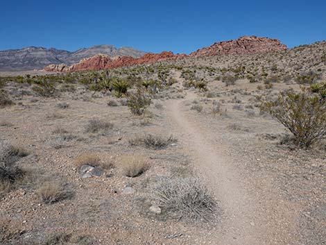 Entrance Station to Calico Basin Trail