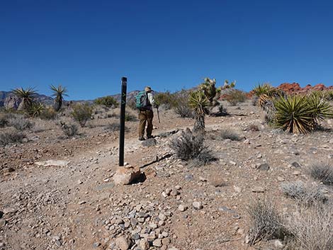 Entrance Station to Calico Basin Trail