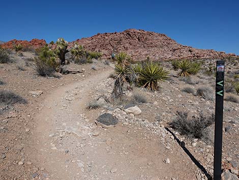 Entrance Station to Calico Basin Trail