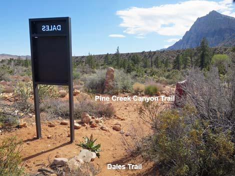 Escarpment Trail