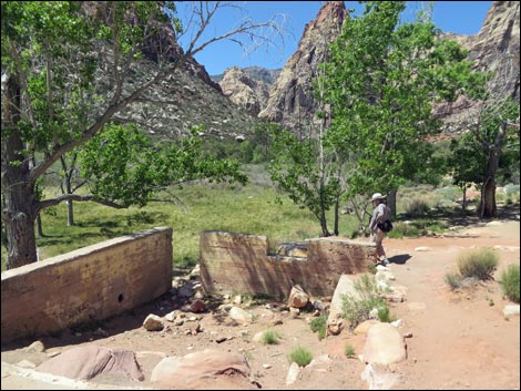 Escarpment Trail