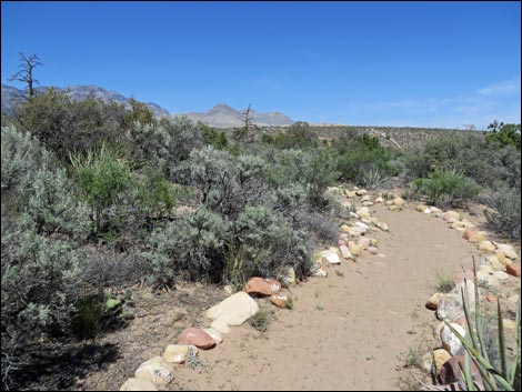 Fire Ecology Trail