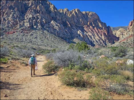 First Creek Canyon