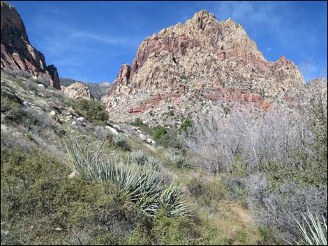 First Creek Canyon