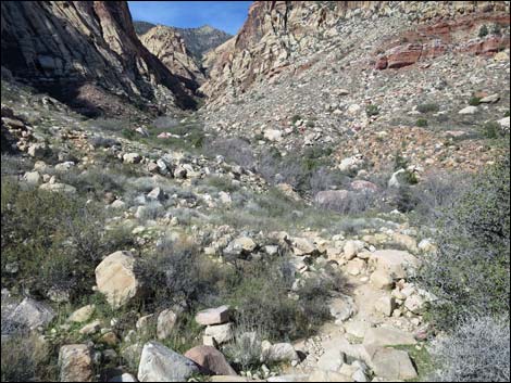 First Creek Canyon