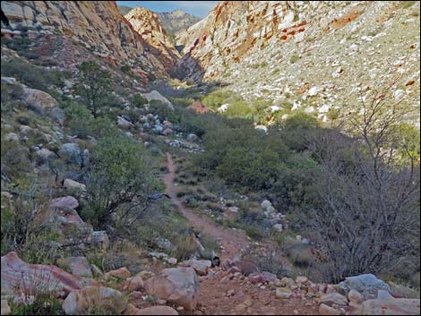 First Creek Canyon