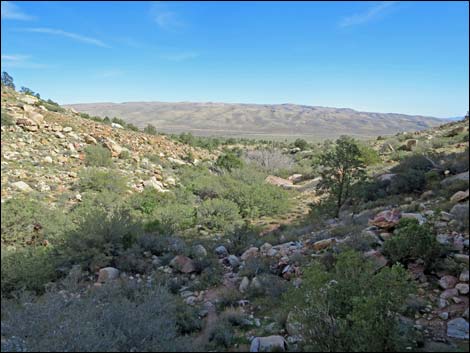 First Creek Canyon