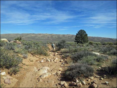 First Creek Canyon