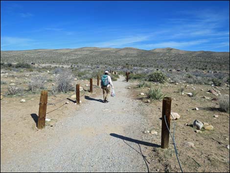 First Creek Canyon