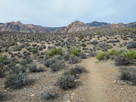 Grand Circle Trail