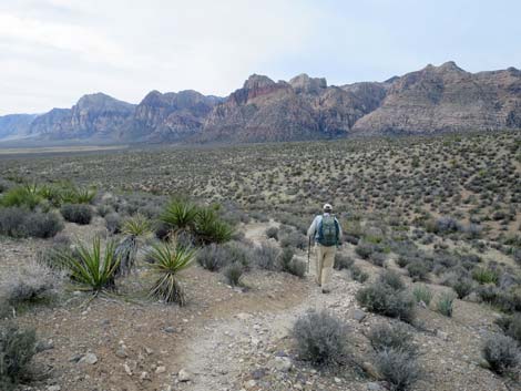 Grand Circle Trail