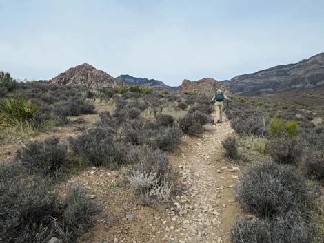 Grand Circle Trail