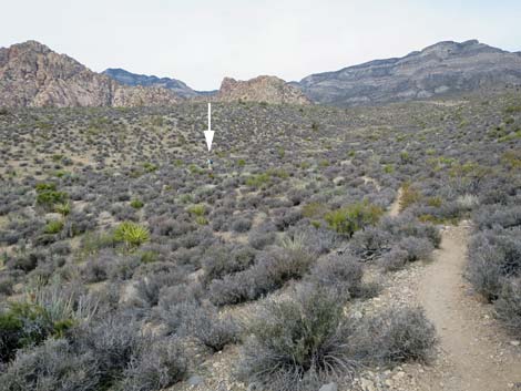 Grand Circle Trail