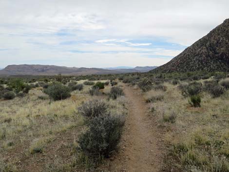 Grand Circle Trail