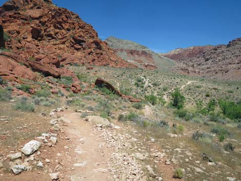 Girl Scout Trail