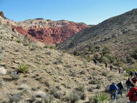 La Madre Mountain Wilderness Area