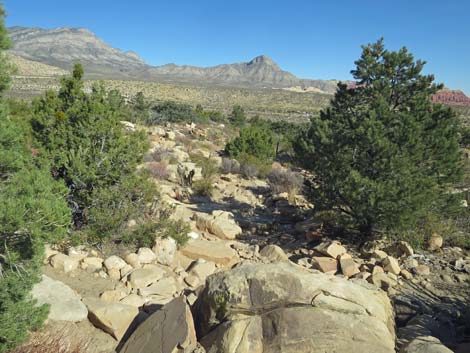 Ice Box Canyon