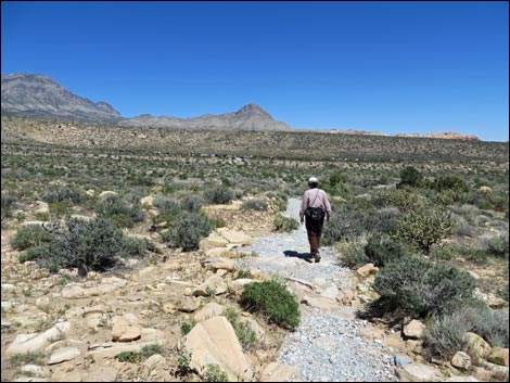 Icebox Canyon