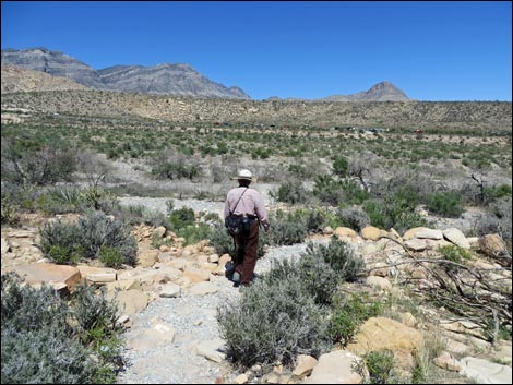 Icebox Canyon