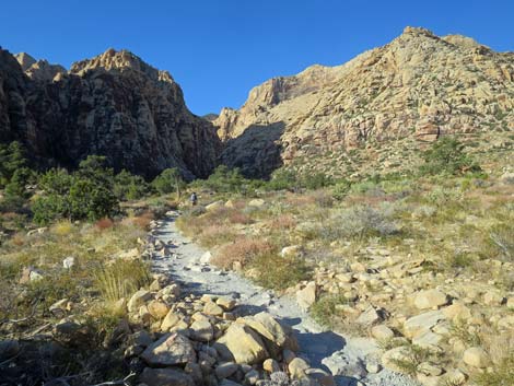 Ice Box Canyon