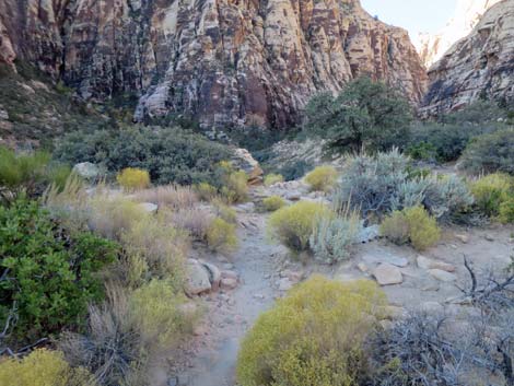 Ice Box Canyon