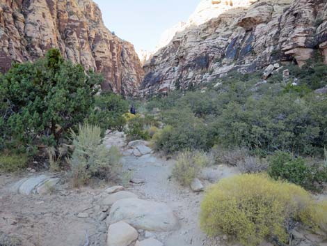 Ice Box Canyon