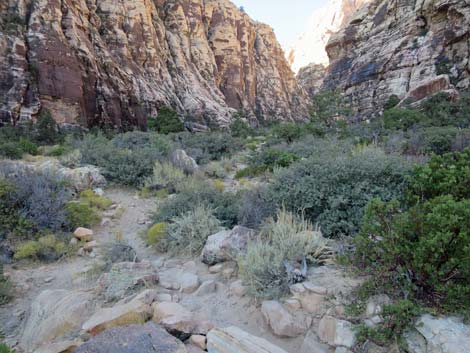 Ice Box Canyon