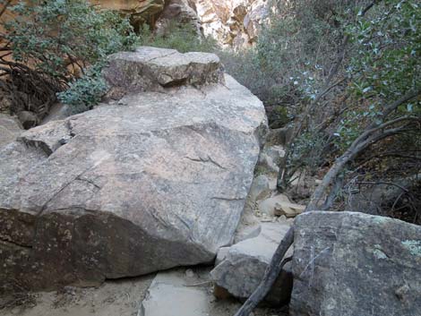 Ice Box Canyon