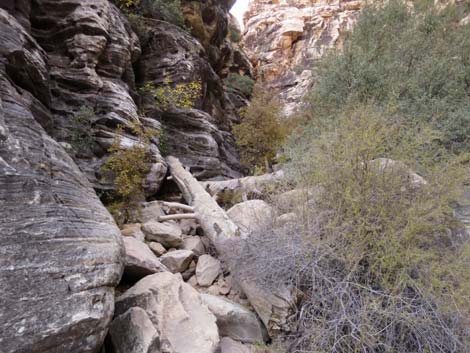 Ice Box Canyon