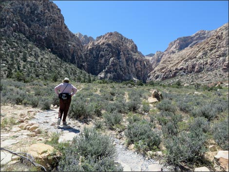 Icebox Canyon