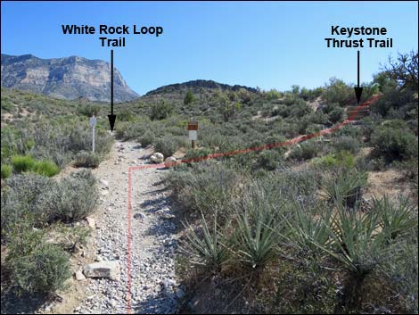 Keystone Thrust