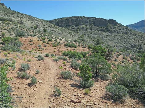 Keystone Loop