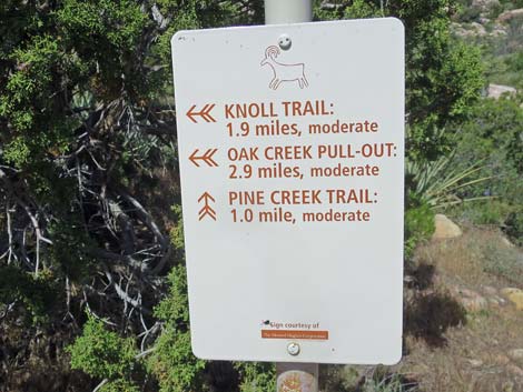 Knoll Trail