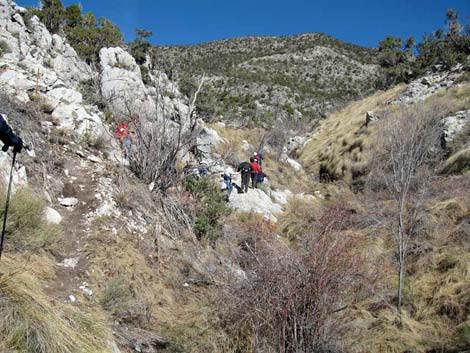 La Madre Miner's Cabin