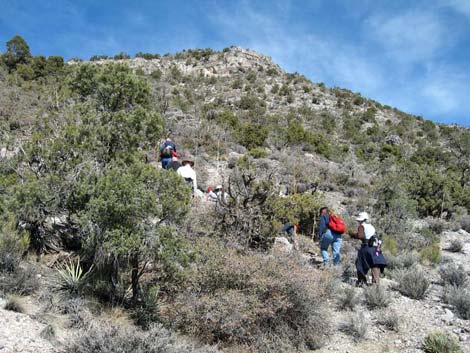 La Madre Miner's Cabin