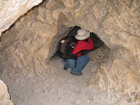 La Madre Miner's Cabin