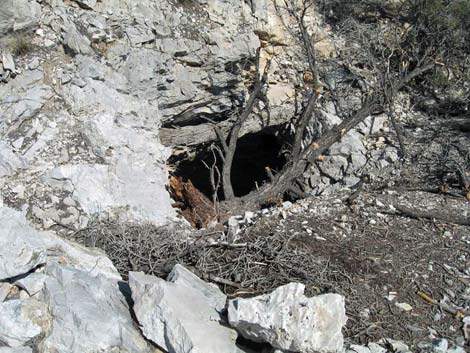 La Madre Miner's Cabin